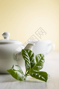 茶壶和杯子放在桌子上的茶叶图片