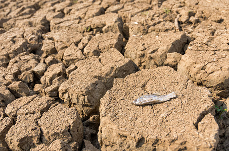 溅泥全球暖化夏季的干旱背景