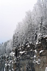 寒冬的森林在一片云雾般的天空背景下悬崖上图片