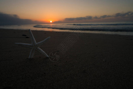 海滩上的日出和海星图片