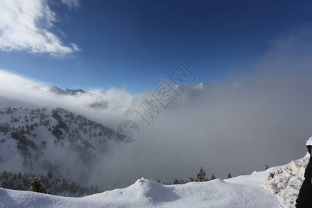 山顶有被雪覆盖的森林图片