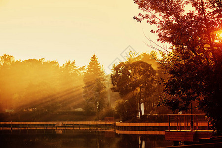 日落在公园湖在公园图片
