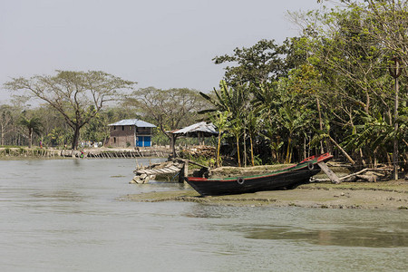 孟加拉国河岸地带热植被和房屋的风景图片