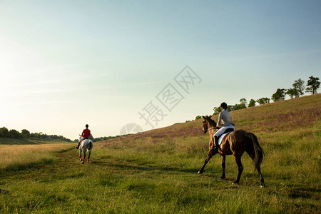草原骑马年轻女子骑手与她的马在傍晚的夕阳光生活方式氛围中的户外摄影马术骑马赛马背景