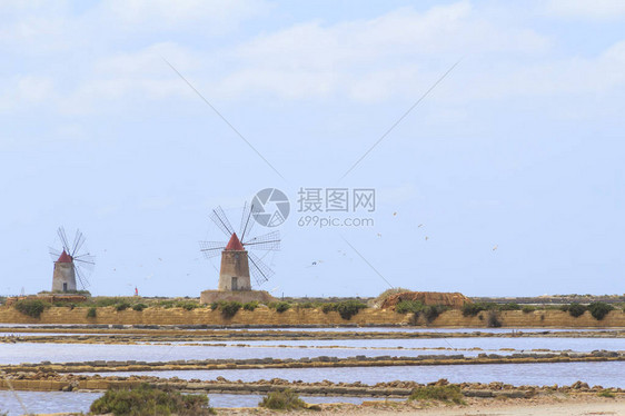西里岛特拉帕尼马尔萨拉盐滩的风车景观图片