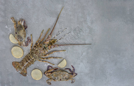 含有甲壳动物的食品框架本底龙虾螃图片