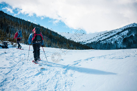 一个拿着登山杖的登山者穿过雪图片