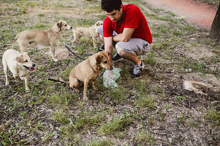 遛狗的人带着狗在散步图片