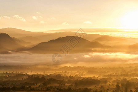 雾中黎明的日出金光图片