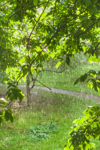 窗外的雨阳光或盲目的雨阳光照耀图片