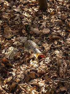 玻璃瓶垃圾扔进森林的树叶覆盖底部图片