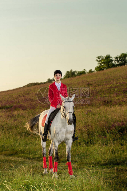 骑马的女员一匹红马上的女骑士马术骑马比赛图片