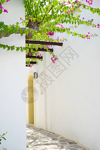 希腊克里特岛的传统狭窄小巷图片