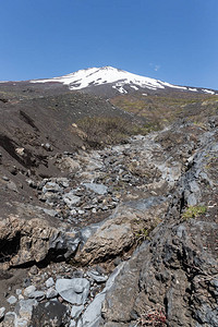 春天的雪山和自然休养林步道的富士山顶图片