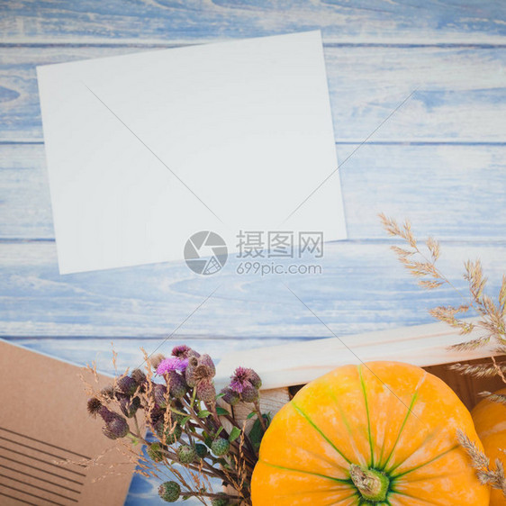 秋季橙色南瓜和干花的方形顶视图图片