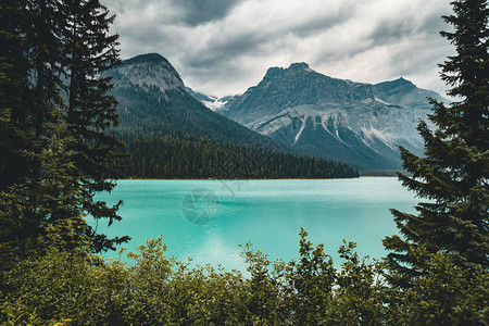 加拿大落基山脉的翡翠湖图片