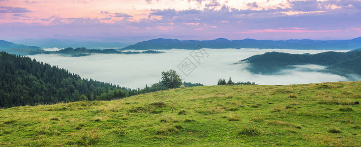 在山的美丽的夏天风景日出图片