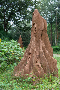 印度卡纳塔克KarnatakaIlapura图片