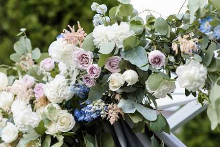 婚礼植物学大量鲜花的背景图片