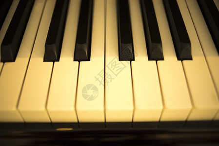 音乐厅大钢琴键准备用于图片
