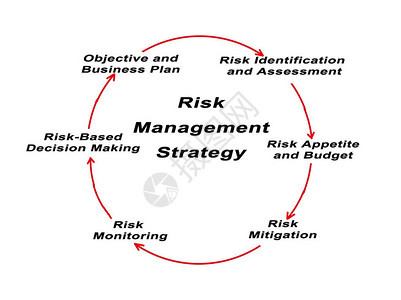 风险管理战略各组成部分的图片