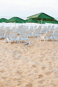 美丽别致的海海滩遮阳伞夏天内塞背景图片