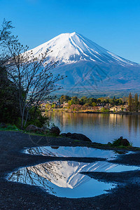 早上的富士山和河口湖图片