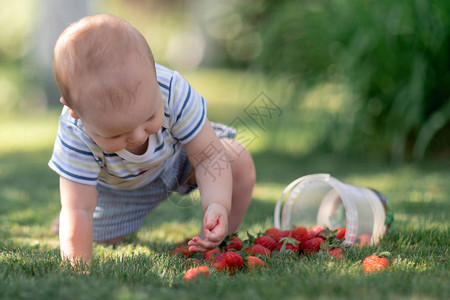 淘气的男孩在草地上撒了草莓粉碎了它们图片