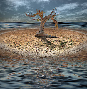 荒漠淹没岛屿枯树和由图片