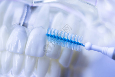 牙齿间牙齿清洁刷健康牙线在每颗牙齿之间的作用图片