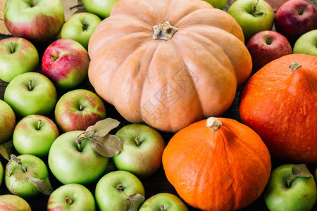 伍登背景的苹果和南瓜虾感恩节季水果和蔬图片