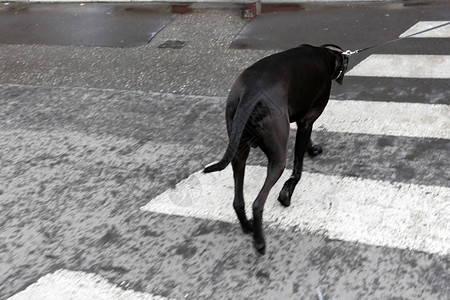 人行道行人专用的道路图片