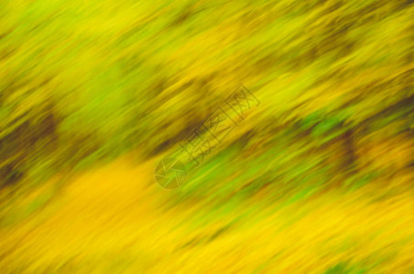 与明亮的黄色叶子的秋天背景秋叶散景秋天自然背景模糊明图片