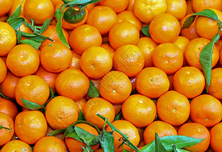 从西里来的小橙色长袍背景在水果图片