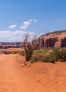 沙漠中的桑迪路亚利背景图片