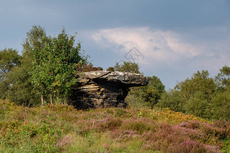 YorkshireDales公园布利姆图片