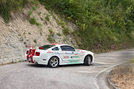 2013年7月28日在意大利FC多瓦拉Dovadola的RallydellaR图片