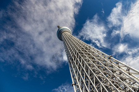 世界上最高的独立广播塔和日本最高的结构图片