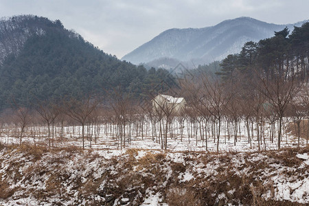 韩国首尔村屋景观图片