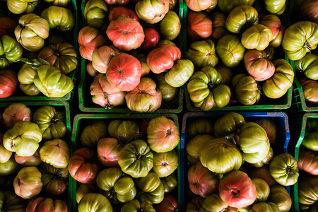 农场市箱中大组樱桃和葡萄番茄图片