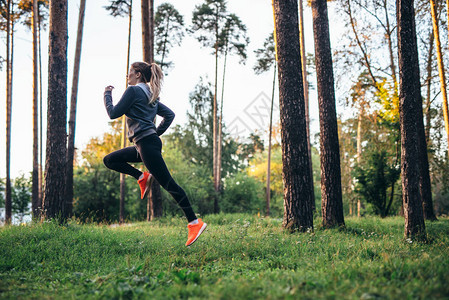 年轻女运动员在森林中慢跑上早锻图片