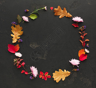 秋色的叶子和圆框花朵图片
