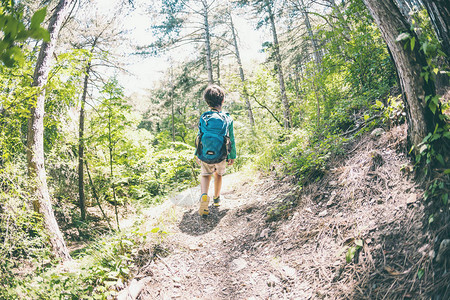 在森林里背着包的孩子男孩沿着山路走积极的假期带孩子旅行孩子正在研究自图片