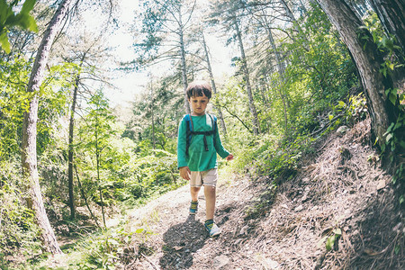 在森林里背着包的孩子男孩沿着山路走积极的假期带孩子旅行孩子正在研究自图片