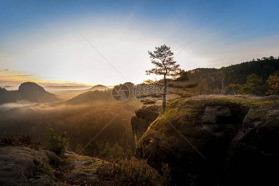 德国撒克逊瑞士公园台地山顶的史诗日出光有光和雾的山脉在易北河砂岩山脉美妙的山脉图片