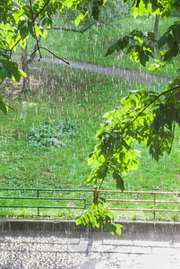 窗外的雨晒太阳或盲目雨阳光照耀人图片