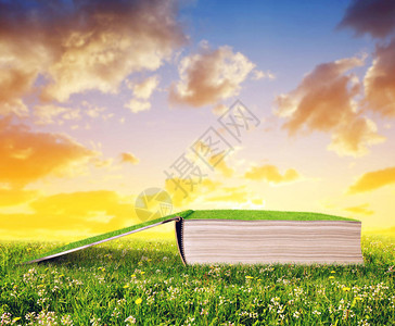 日落时在草地上的草地上打开书图片