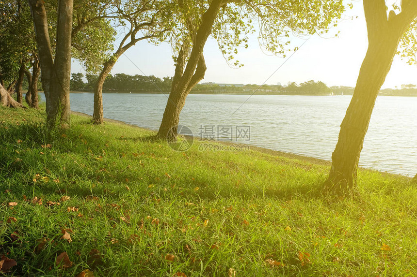 绿军新赛季阵容升级剑指总冠军