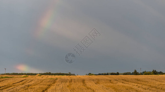 在炎热的夏日暴风雨中彩虹在一片田野上背面图片