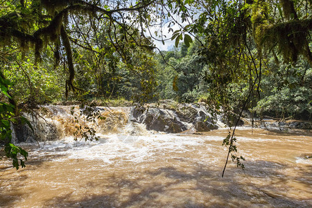 Kakamega森林中心地带的Muddy河图片